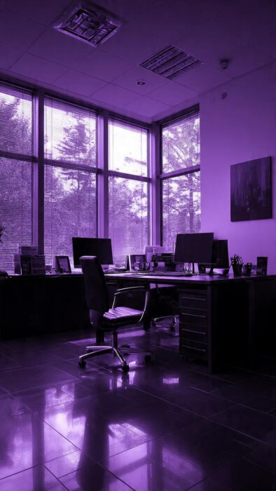 About an office image for vivarplus multidynamics limited